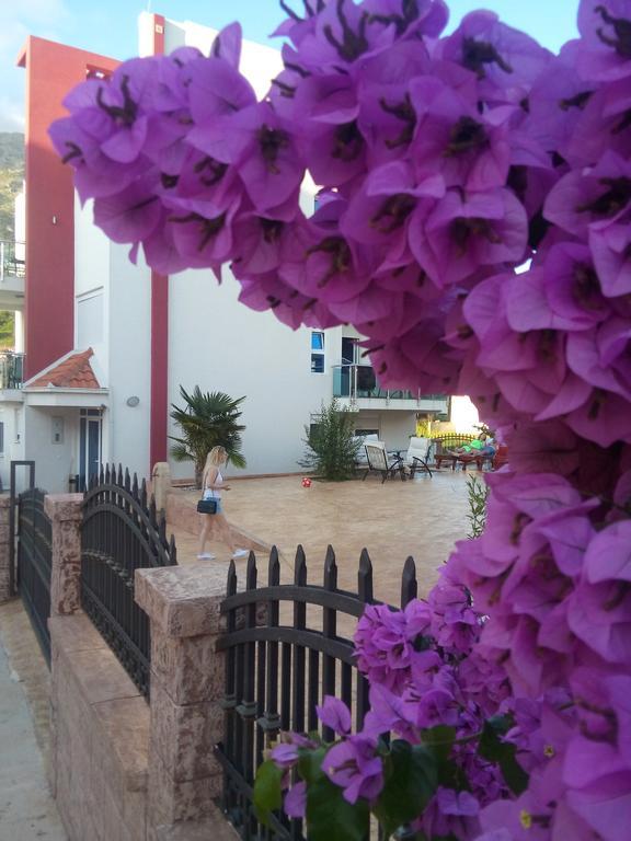 Апартаменти A1 Добра Вода